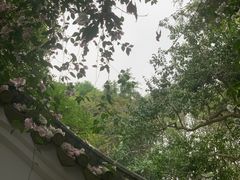 -深圳国际园林花卉博览园