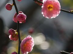 -静安雕塑公园