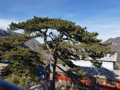 -妙峰山风景名胜区