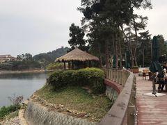 -梅地亚君澜度假酒店俱乐部