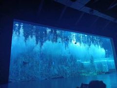 -哈尔滨波塞冬海底世界