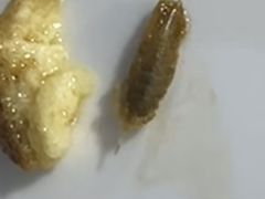 -温州一家人美食(西木头市店)