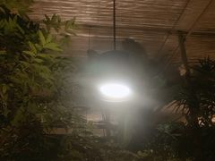-汤山翠谷生态餐厅