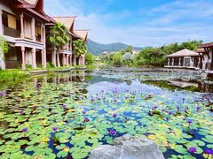 -广州都喜泰丽温泉度假酒店