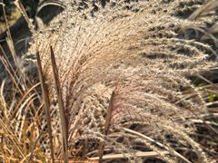 -白塘生态植物园