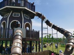 -上海长兴岛郊野公园