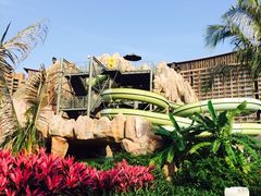 巨碗滑道-亚马逊丛林水乐园