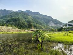 -泽雅景区