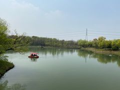 -梁鸿国家湿地公园