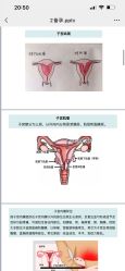 -后素孕产瑜伽·运动康复中心