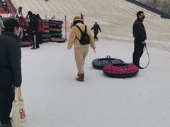 -绿野森林乐园冰雪季