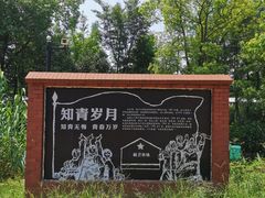 -长兴岛郊野公园农场食堂