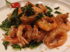-潮江春(阳光店)