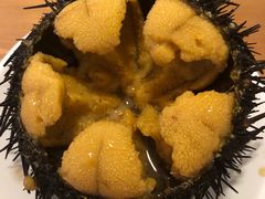 -海胆小馆(东北水饺·春柳店)