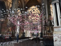-斯蒂芬主教座堂(Stephansdom)