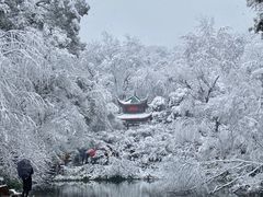 -岳麓山风景名胜区