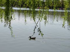 -北京园博大酒店