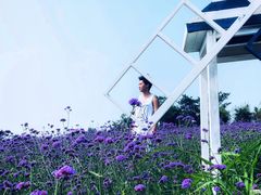 -渔岛海洋度假区