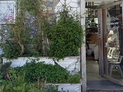 -Vanillacafe香草咖啡(银海大世界店)
