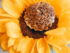 -无味舒食(环岛路店)