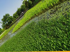 -苏州太湖国家湿地公园