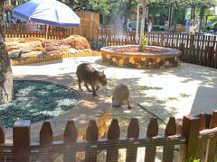 -大连森林动物园