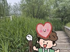 -稻香湖公园