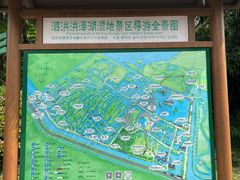 -泗洪洪泽湖湿地景区