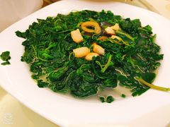 -雍景湾大酒楼(怡翠花园店)