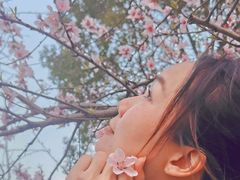 -常德桃花源景区