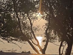 -宝安西湾红树林湿地公园