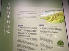 -中国茶叶博物馆(双峰馆区)