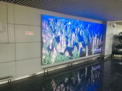 -张家界荷花国际机场