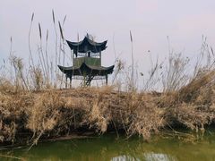 -泗洪洪泽湖湿地景区