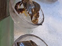 -半岛翡丽海鲜自助餐厅(观风亭店)