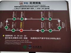 -西湖游船