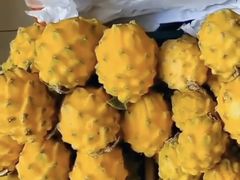-新鸿港水果市场
