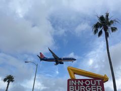 -In-N-Out Burger(LAX)
