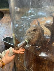 -Zoolung Zoolung动物主题公园(海信广场店)