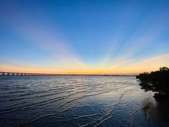 -宝安西湾红树林湿地公园