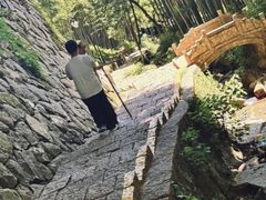 -莫干山风景区