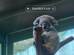-广州长隆野生动物世界