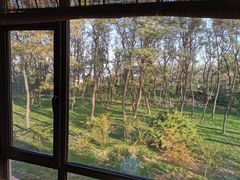 -宾朋海鲜特色美食餐厅·纯手工鲅鱼水饺(兴海路店)