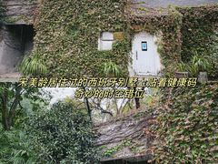 -南山植物园