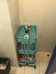 -杭州贝瑞斯美华妇儿医院·早孕·产检·儿科