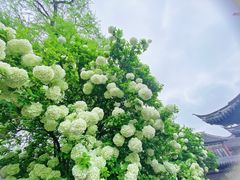 -常熟方塔园