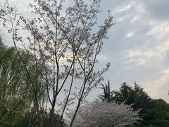 -堤角公园