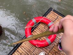 -泗洪洪泽湖湿地景区