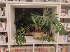-二酉书店TOYOU BOOKS