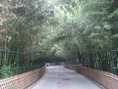 -紫竹院公园冰场